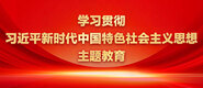 日女人骚b视频学习贯彻习近平新时代中国特色社会主义思想主题教育_fororder_ad-371X160(2)